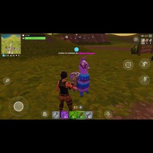 Meet your Posher, Casey